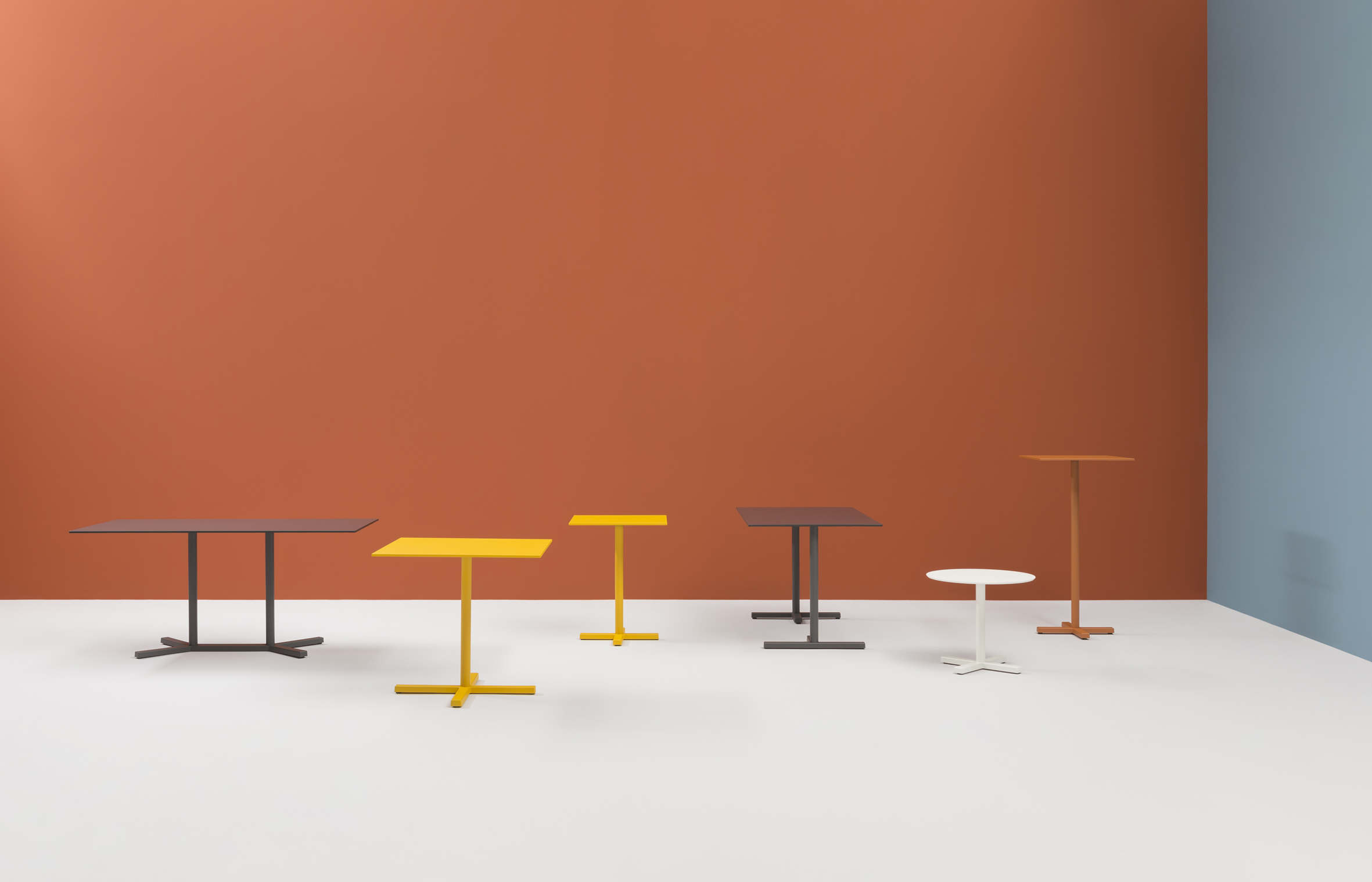 BOLD FAMILY GA GI100 BI200 TE low