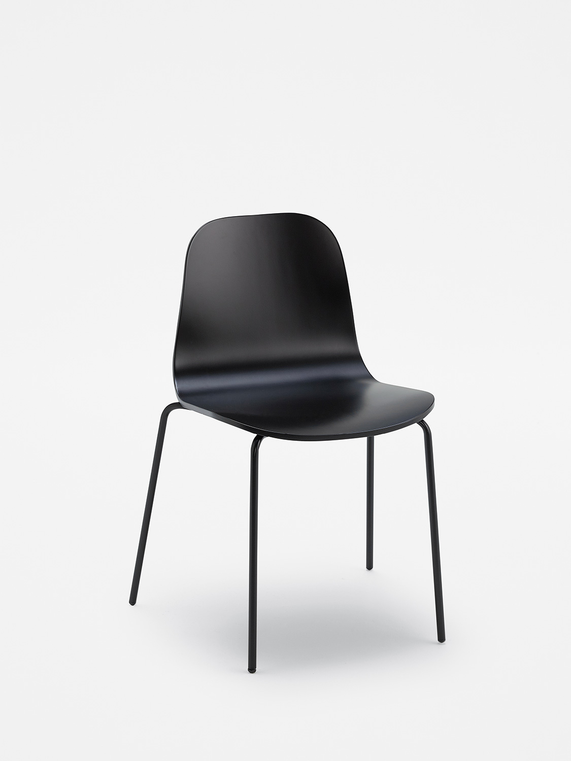 Cantarutti Baba 1 31 Z I