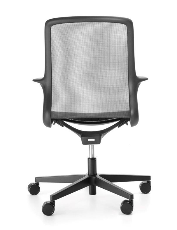 OVIDIO OV1M2black ty