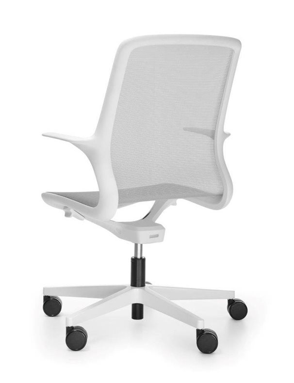 OVIDIO OV1M2white 3 4ty