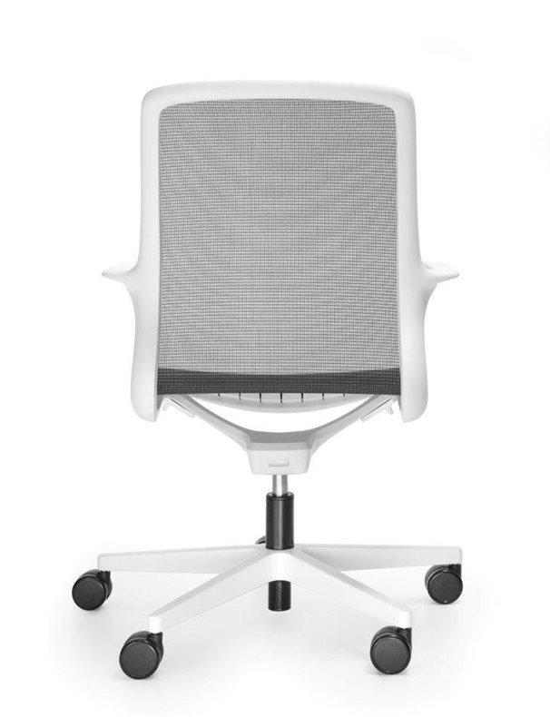 OVIDIO OV1M2whiteb ty