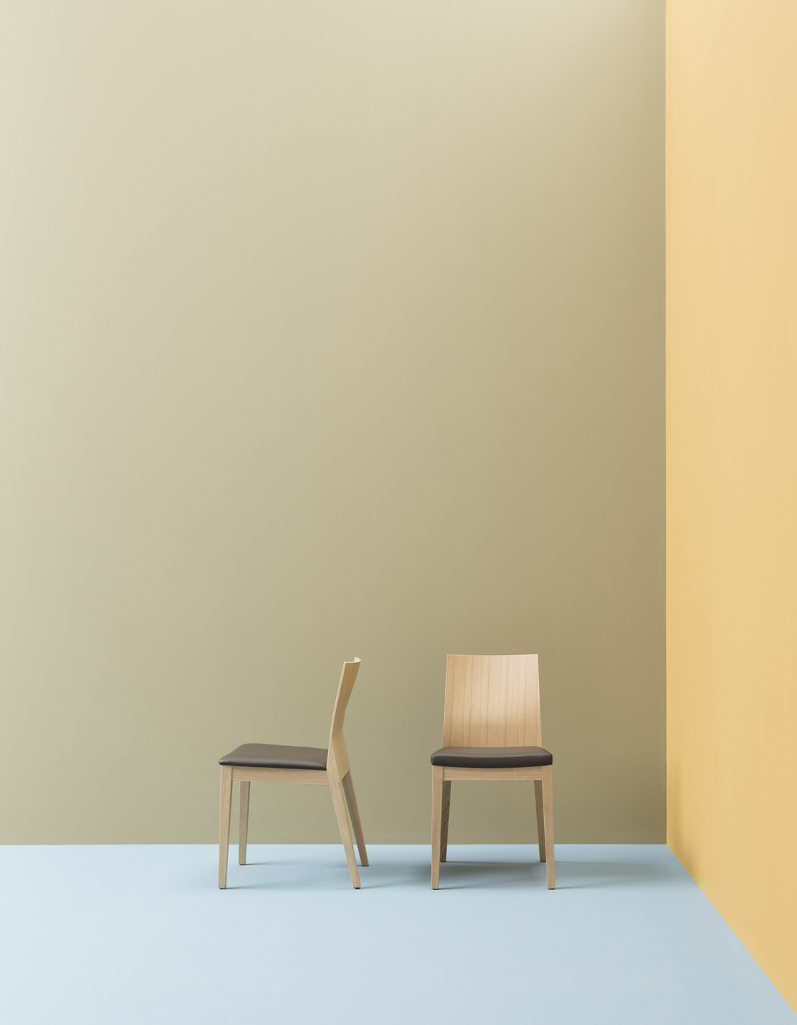 TWIG FAMILY RS+PMA low