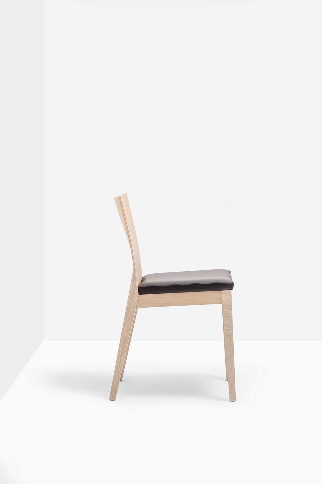 Twig 429 2 RS H302 low