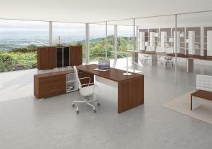 ToRiS Executive Furniture
