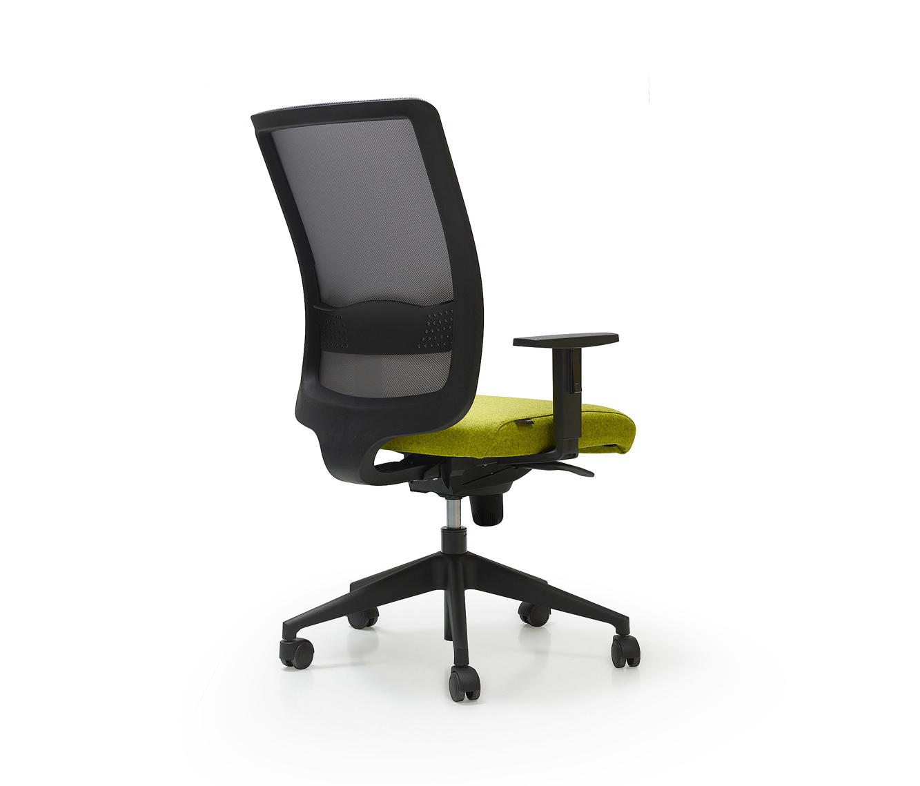 quinti sedute link d b