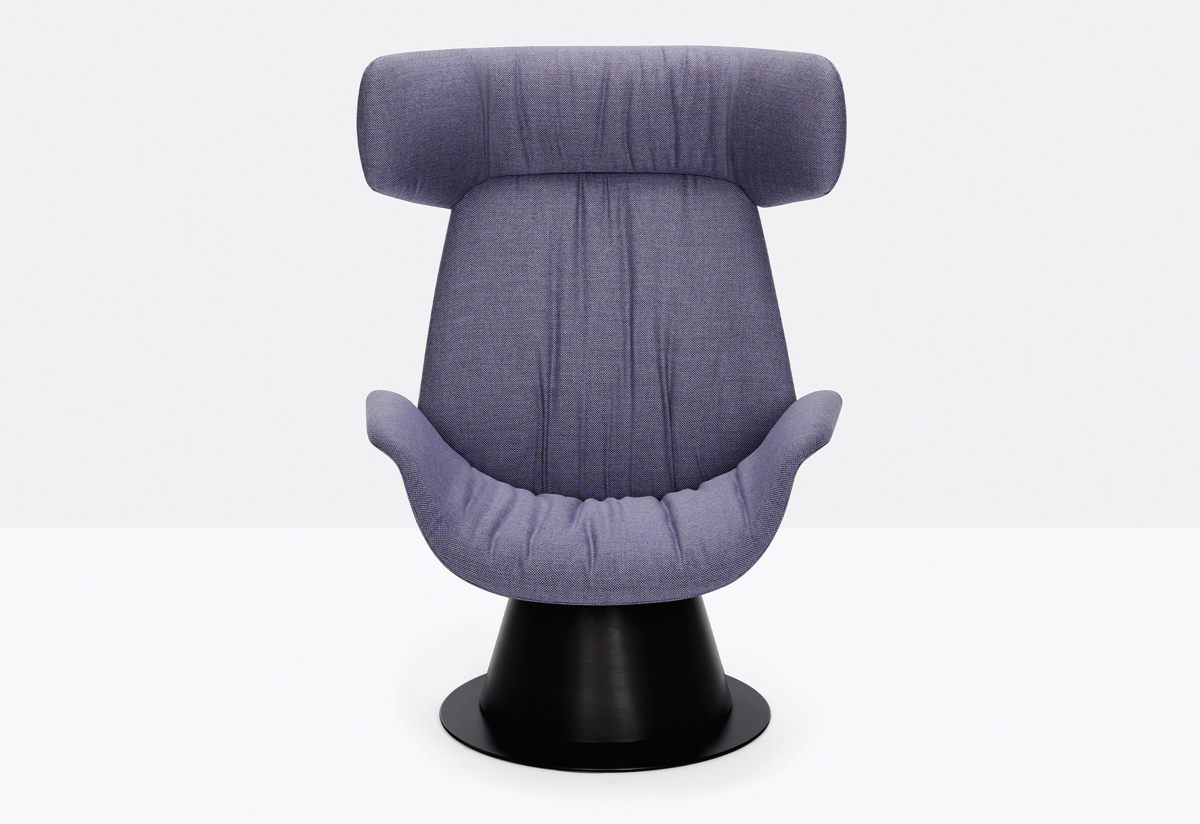 web Ila 2020 01 zoom