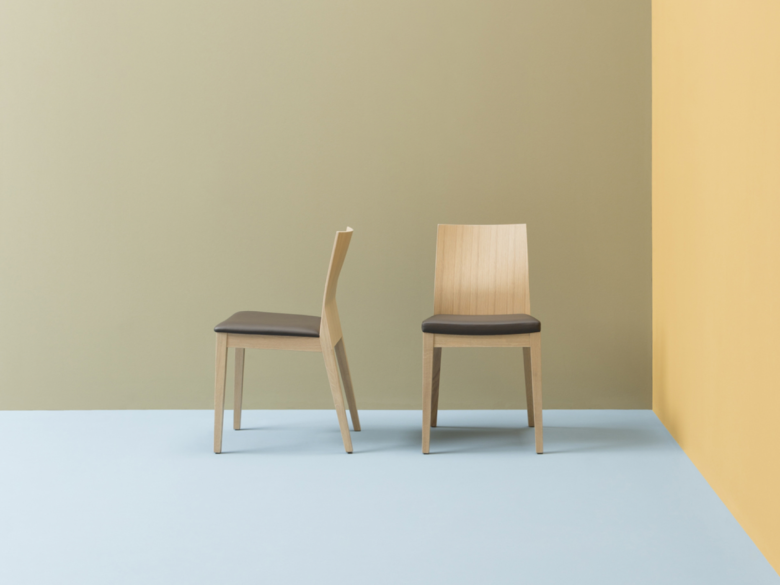 webTWIG FAMILY RS+PMA low