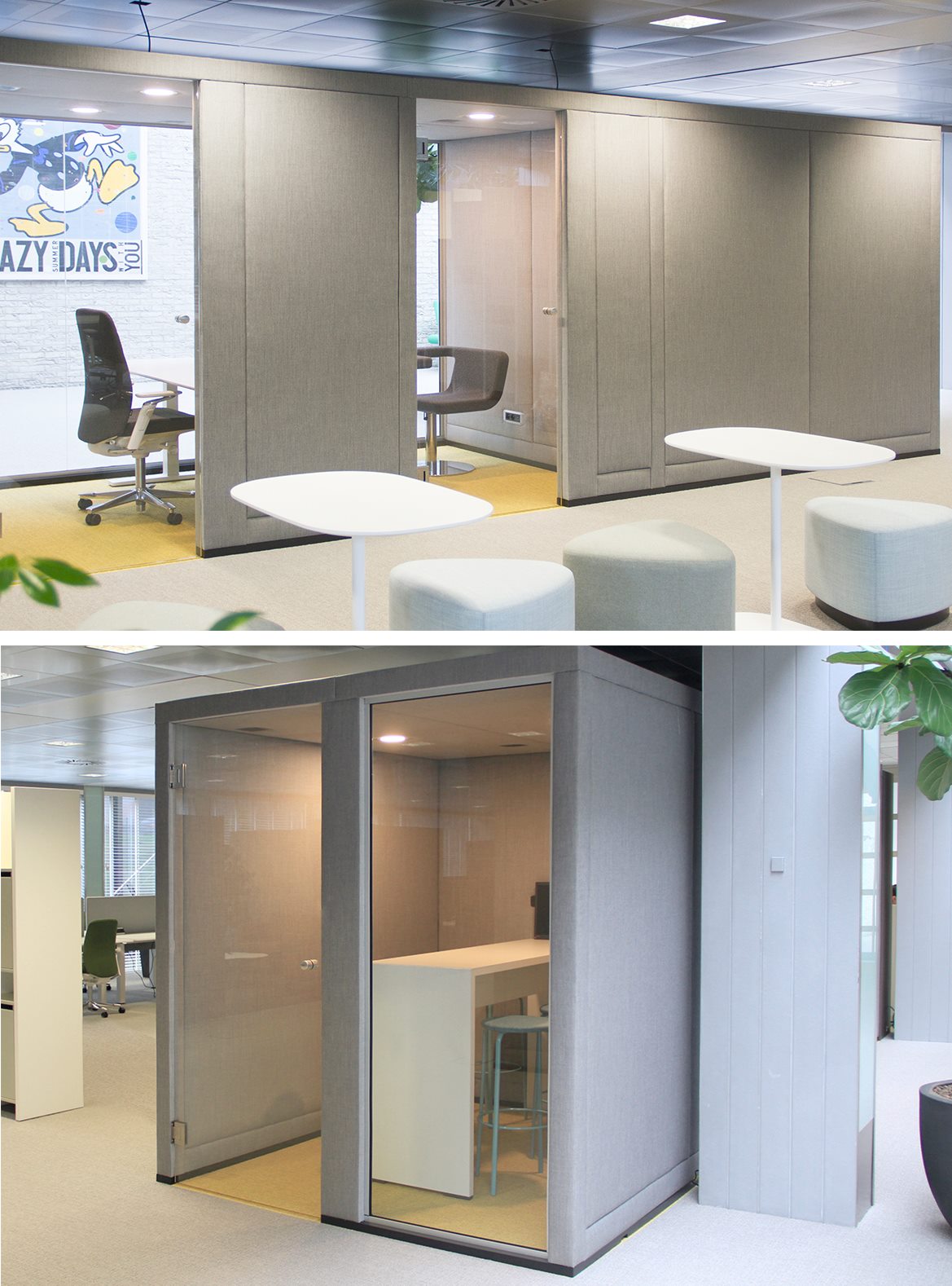 17621748 1770399669956290 7191064410980159952 o