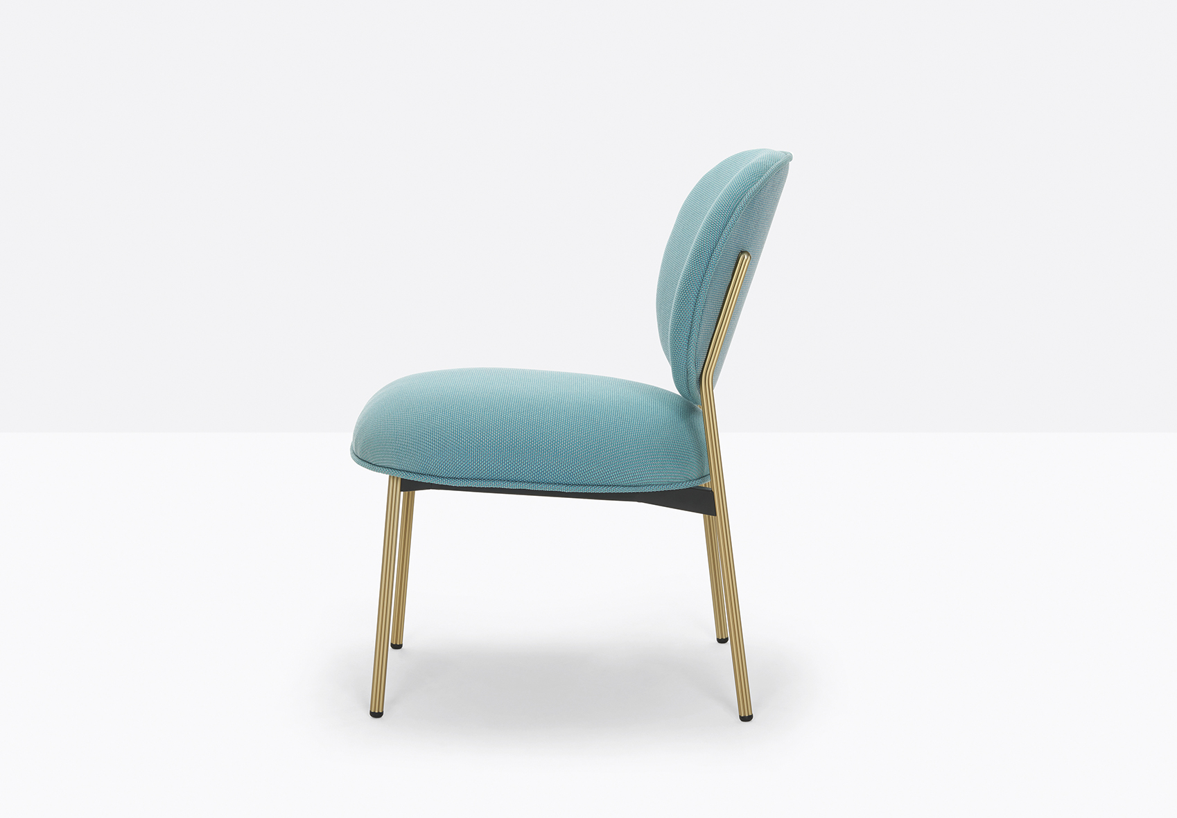 Blume 2951 OA TC8454 low