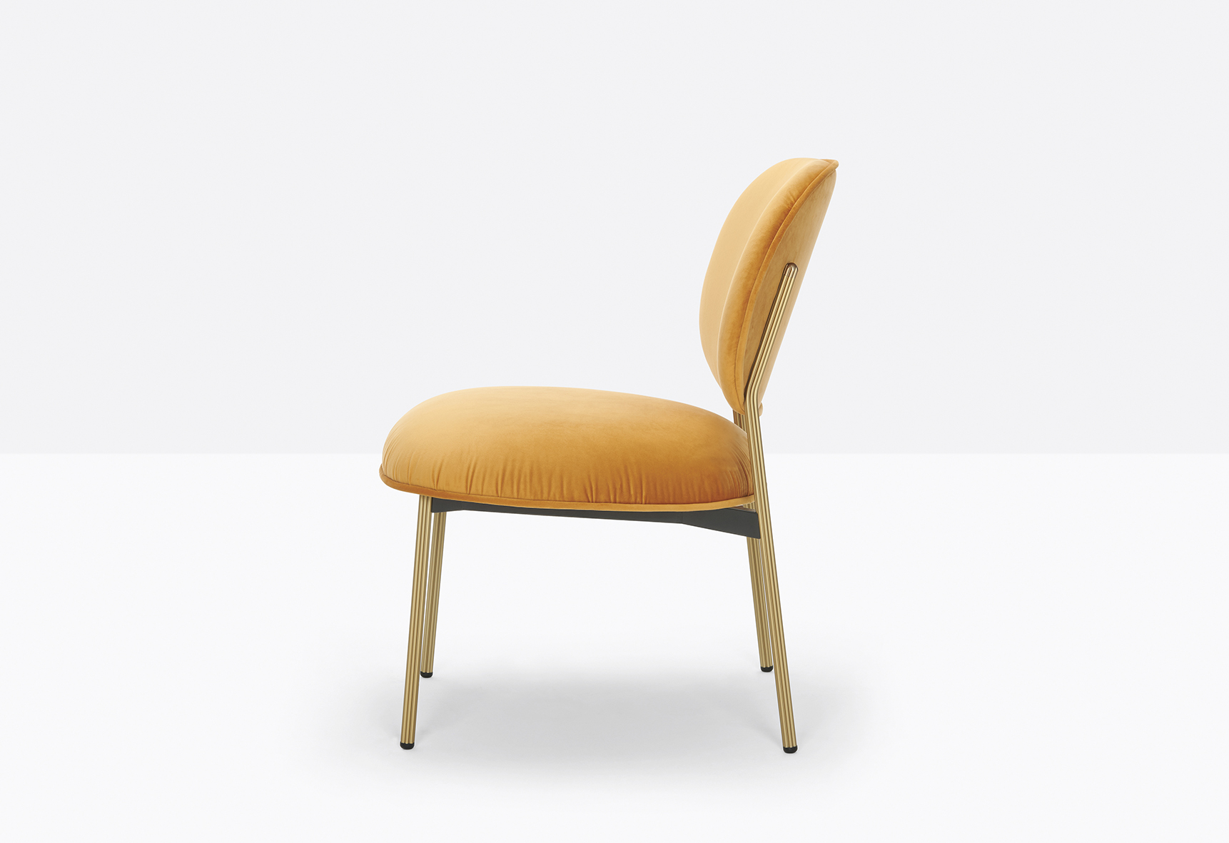 Blume 2951 OA TC8674 low