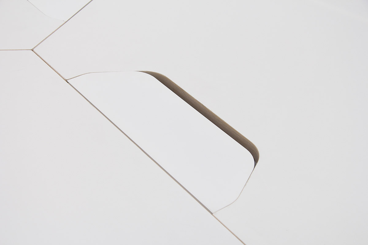 Cell Mesa trabajo 29