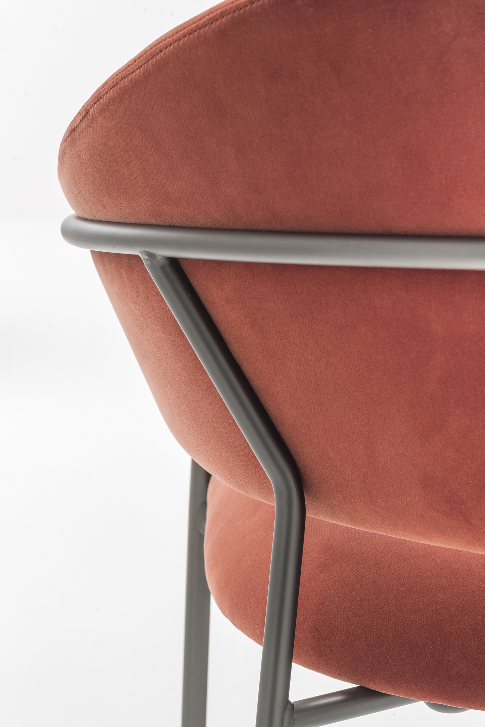 Jazz 3716 TN E015 low