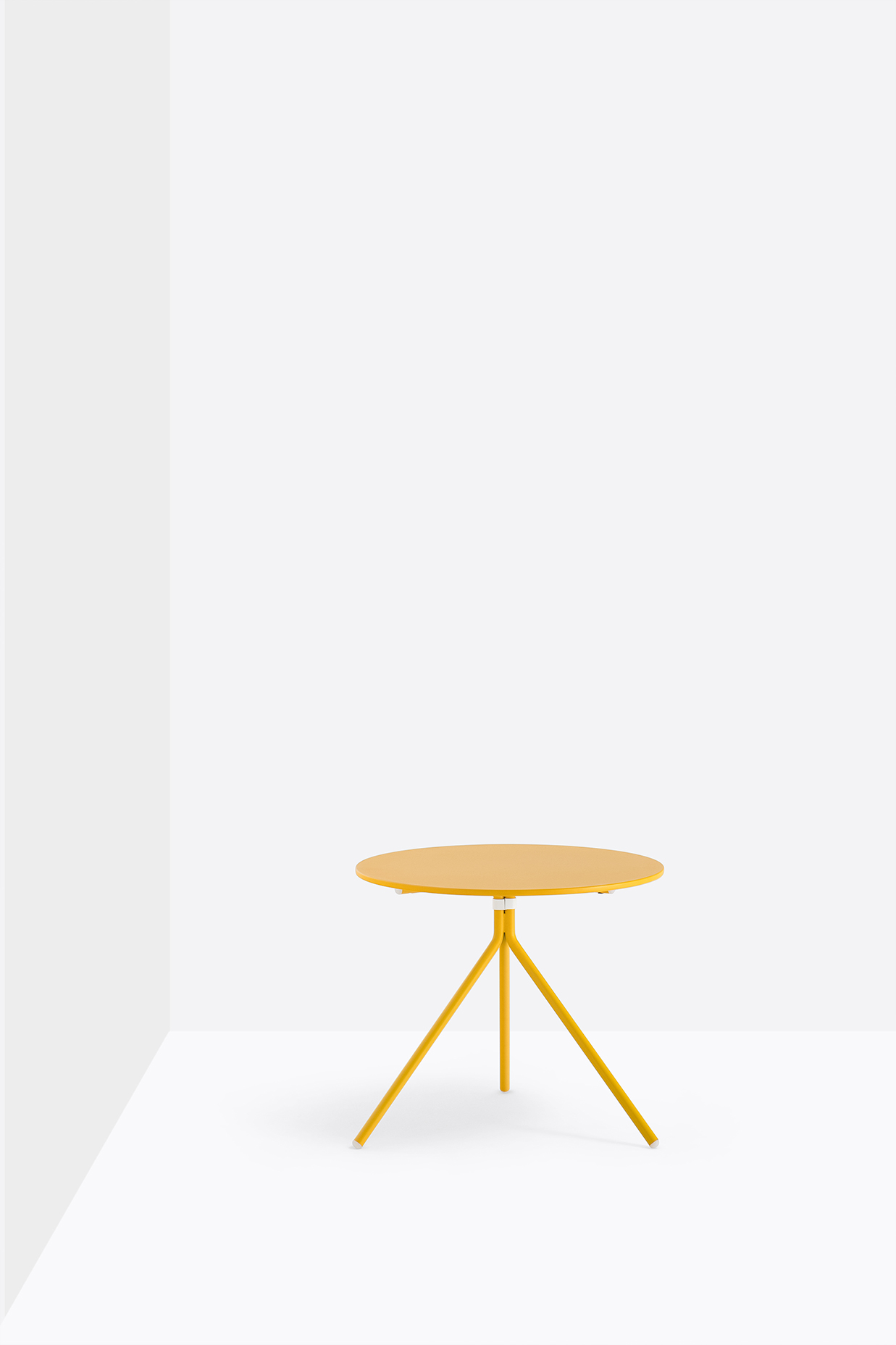 Nolita 5453h480 GI1002 low