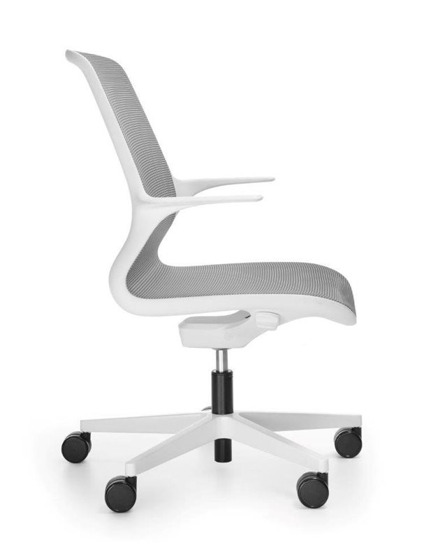 OVIDIO OV1M2white 3 4bok