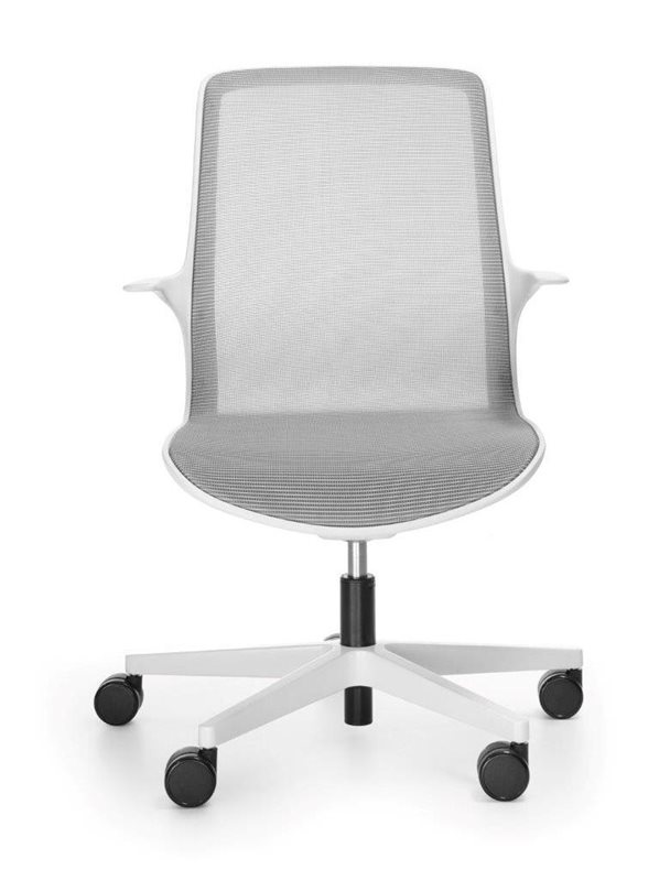 OVIDIO OV1M2white przod