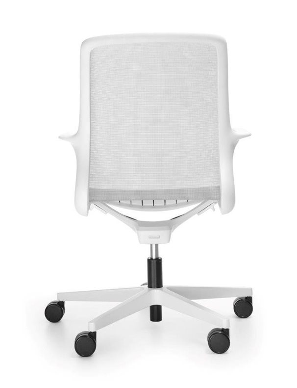 OVIDIO OV1M2white ty