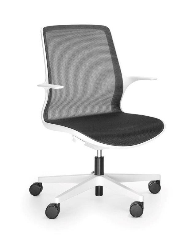 OVIDIO OV1M2whiteb 3 4przod