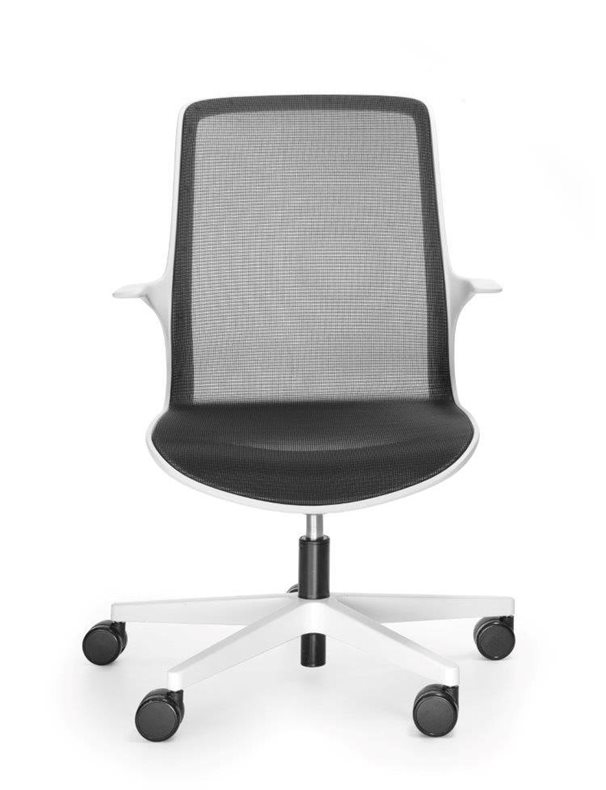 OVIDIO OV1M2whiteb przod