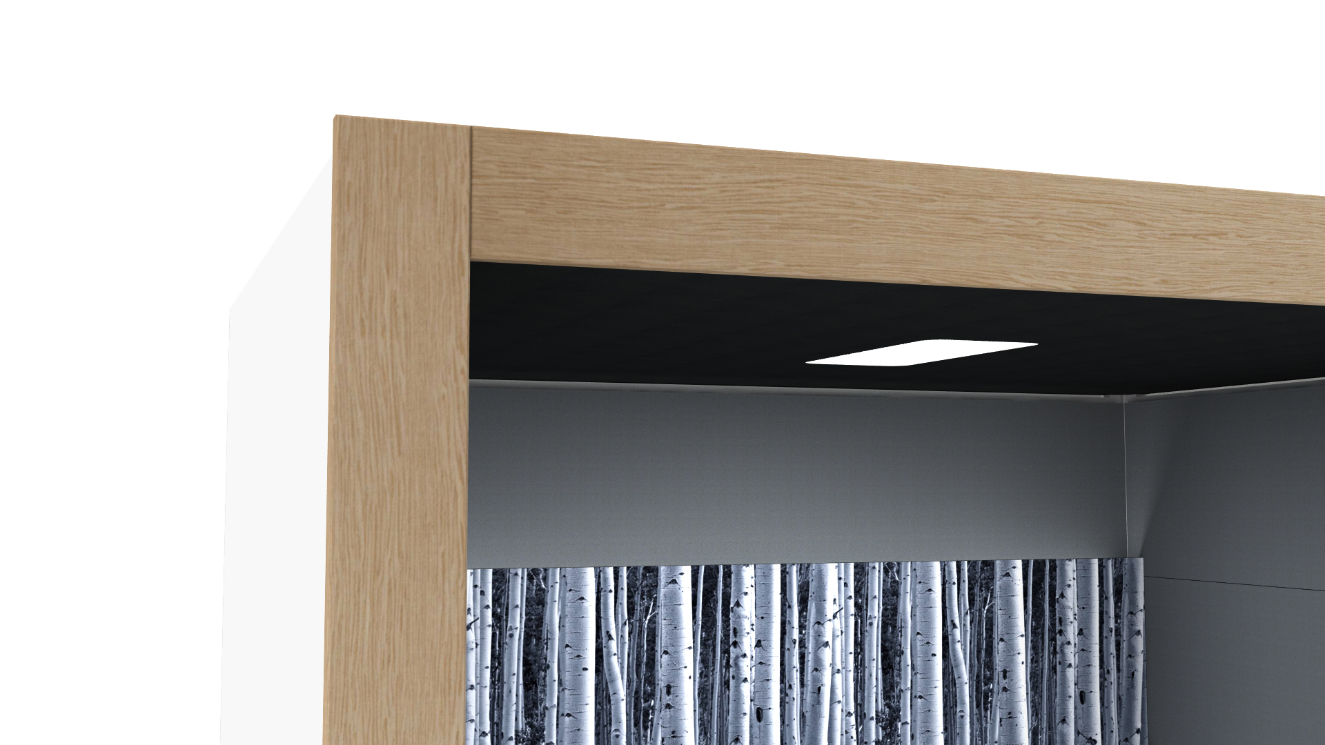 Oasis Linear Team Booth Timber Detail