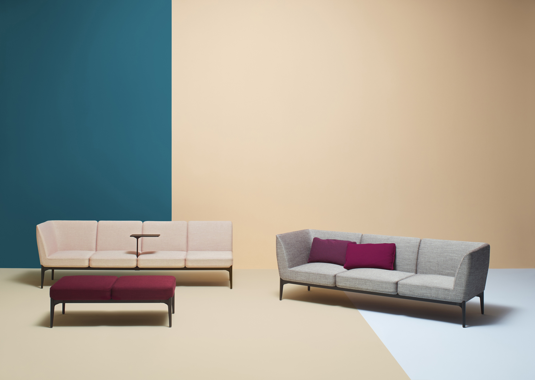 SOCIAL PLUS FAMILY 02 low2