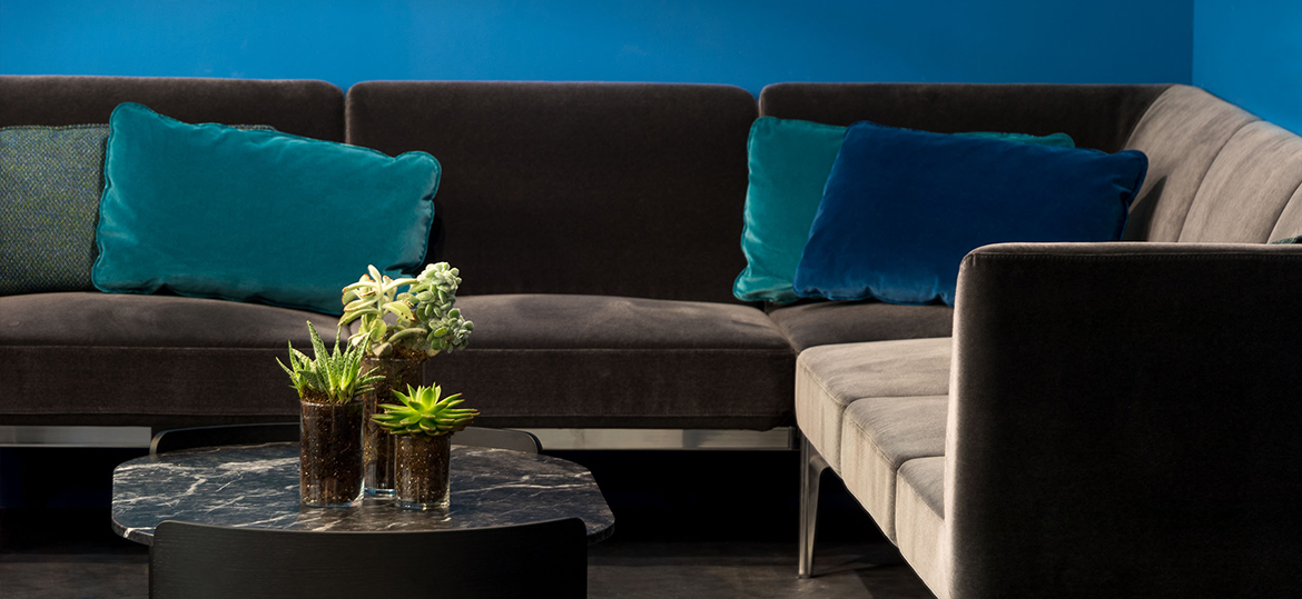 SocialPlus Parenthesis 01