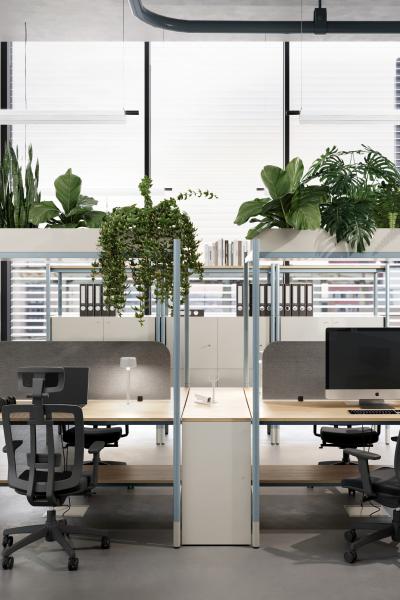 Codutti 2BE pg 10 11