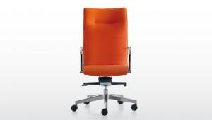 Maybe Exec Chairs by Quinti