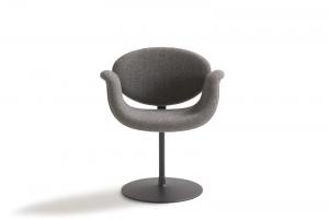 Little Tulip Chair by Artifort