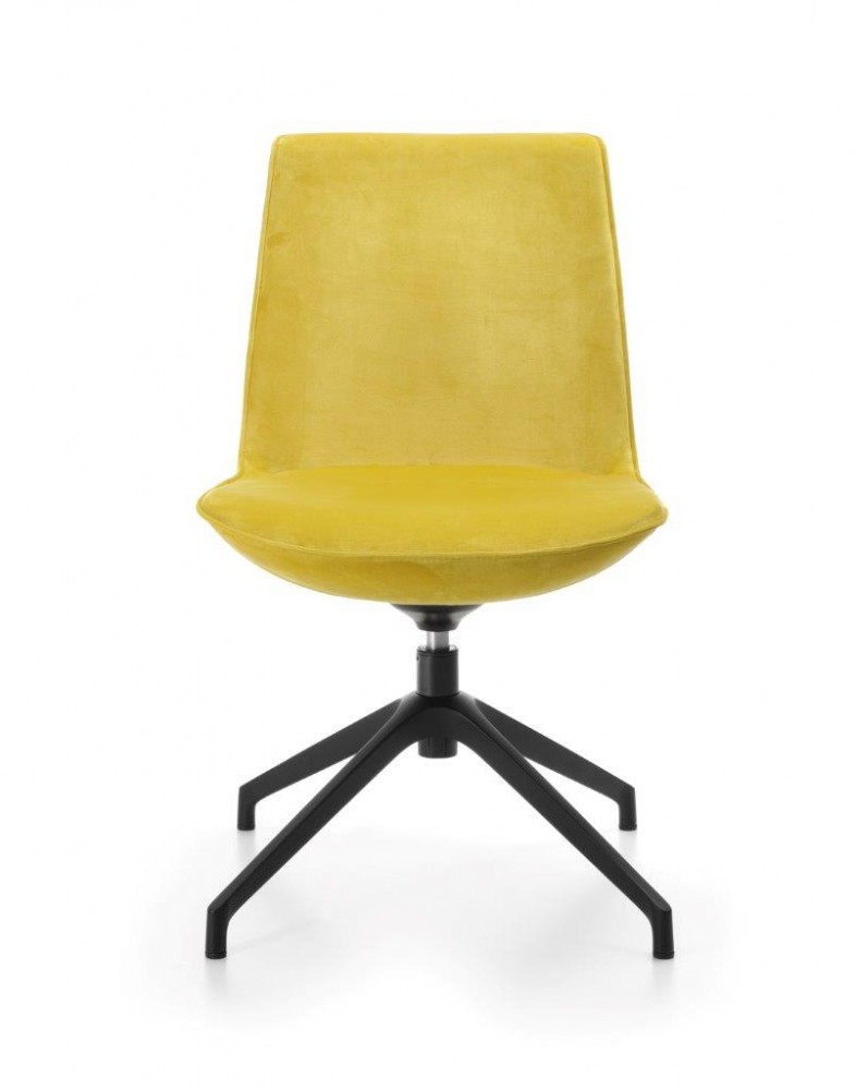 imgp2574 5 crop 786 1000