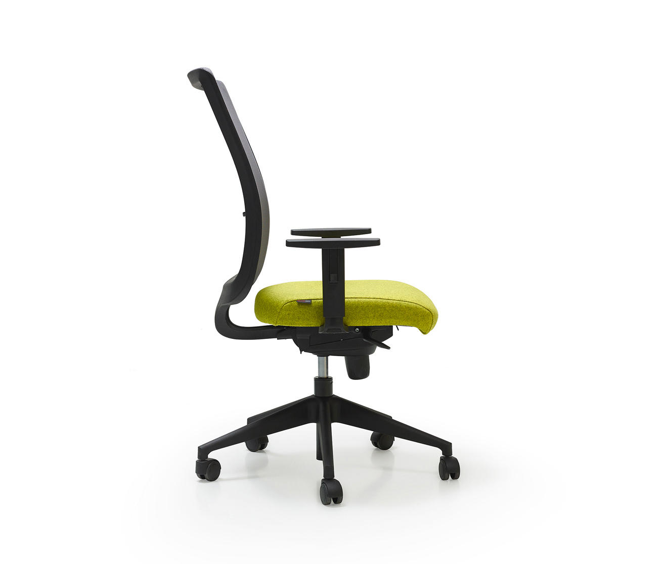 quinti sedute link c b